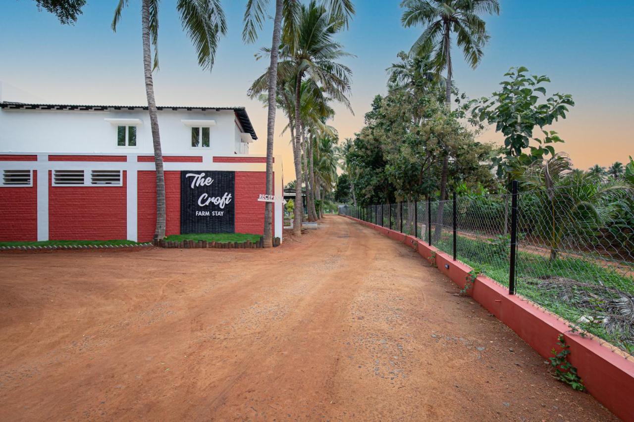 The Croft Resort - Premium Farm Stay 杜蒂戈林 外观 照片