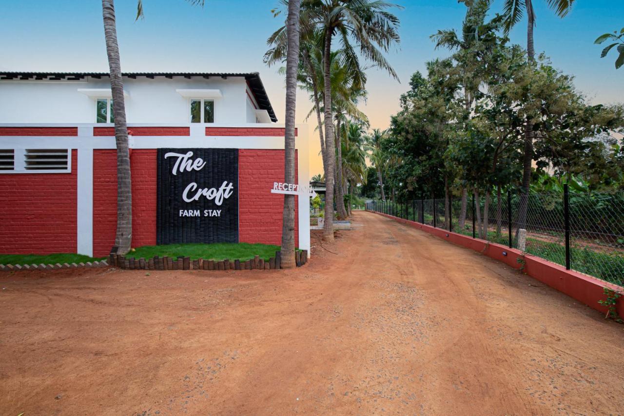 The Croft Resort - Premium Farm Stay 杜蒂戈林 外观 照片